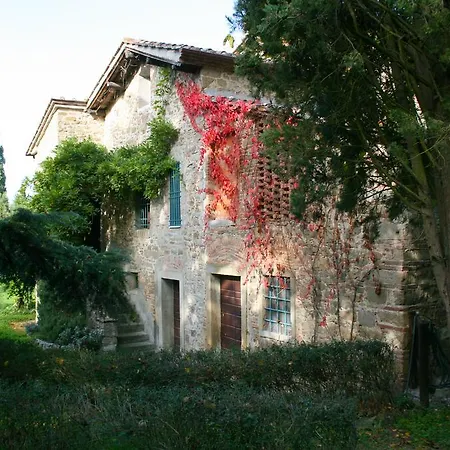 Olivo Villa