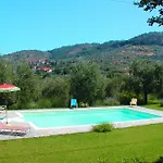 Olivo Policiano