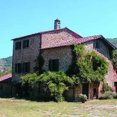 Olivo Policiano